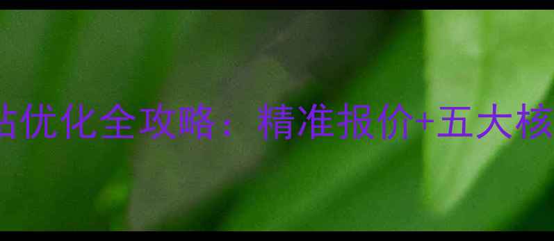 图片 贵阳网站优化全攻略：精准报价+五大核心服务1