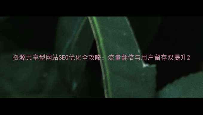 图片 资源共享型网站SEO优化全攻略：流量翻倍与用户留存双提升2