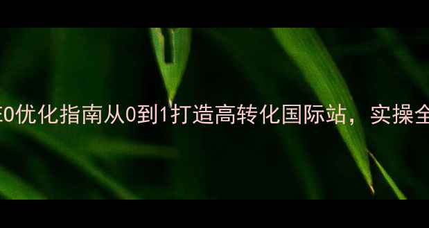 图片 跨境建站SEO优化指南从0到1打造高转化国际站，实操全流程拆解1