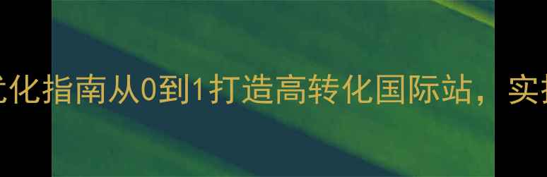 图片 跨境建站SEO优化指南从0到1打造高转化国际站，实操全流程拆解2