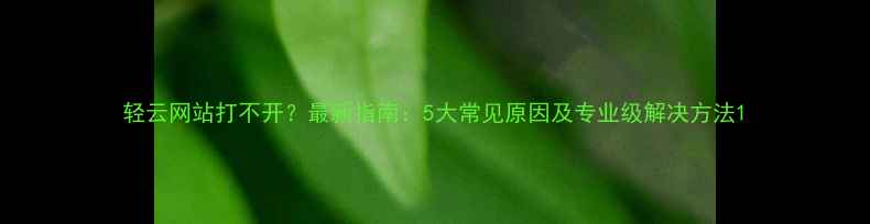 图片 轻云网站打不开？最新指南：5大常见原因及专业级解决方法1
