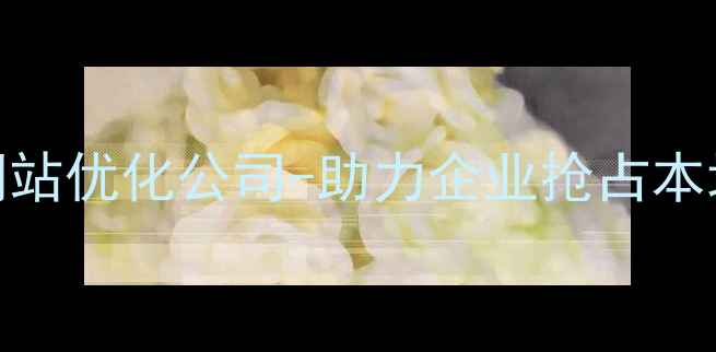 图片 辽宁专业网站优化公司-助力企业抢占本地流量高地