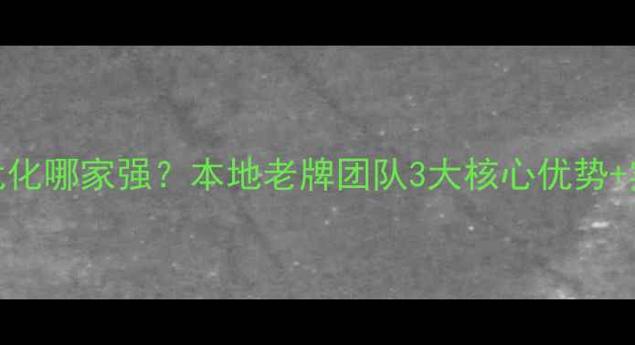 图片 辽阳网站优化哪家强？本地老牌团队3大核心优势+实操指南🔥