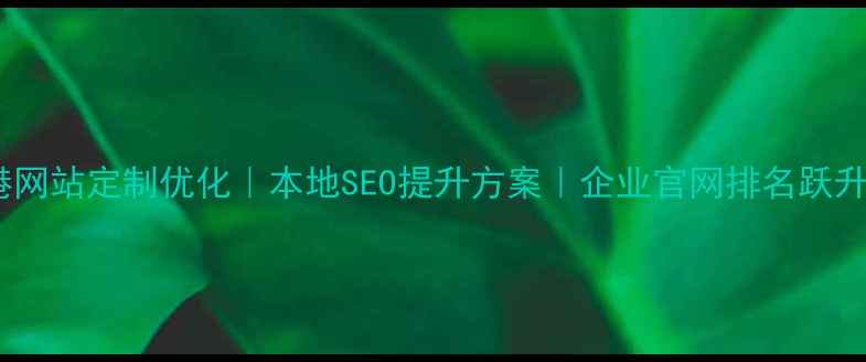 图片 连云港网站定制优化｜本地SEO提升方案｜企业官网排名跃升指南1