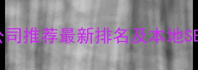 图片 邢台网站制作公司推荐最新排名及本地SEO优化服务指南