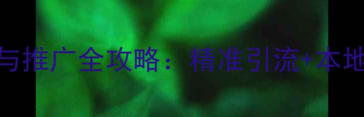 图片 邯郸网站优化与推广全攻略：精准引流+本地SEO实战指南1