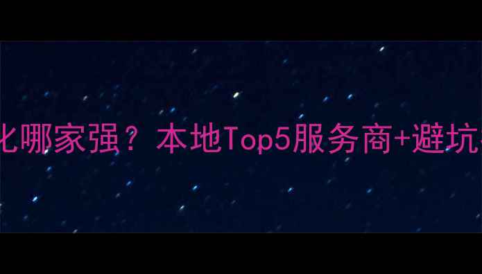 图片 邵阳网站优化哪家强？本地Top5服务商+避坑指南免费领1