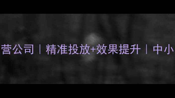 图片 郑州PPC广告代运营公司｜精准投放+效果提升｜中小企业首选服务商1