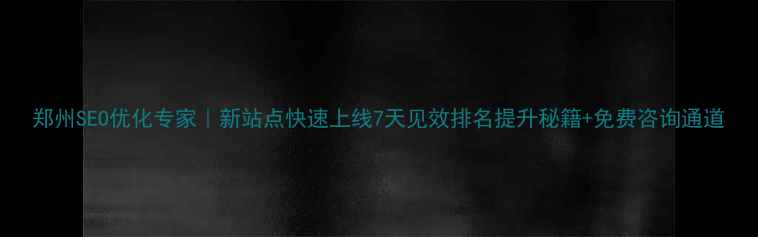图片 郑州SEO优化专家｜新站点快速上线7天见效排名提升秘籍+免费咨询通道