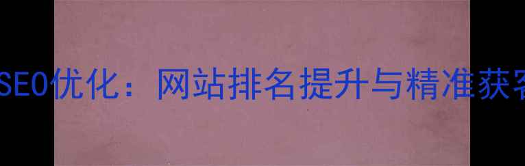 图片 郑州本地SEO优化：网站排名提升与精准获客全攻略2