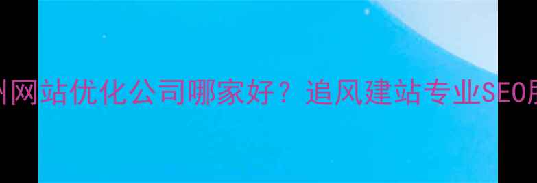 图片 郑州网站优化公司哪家好？追风建站专业SEO服务