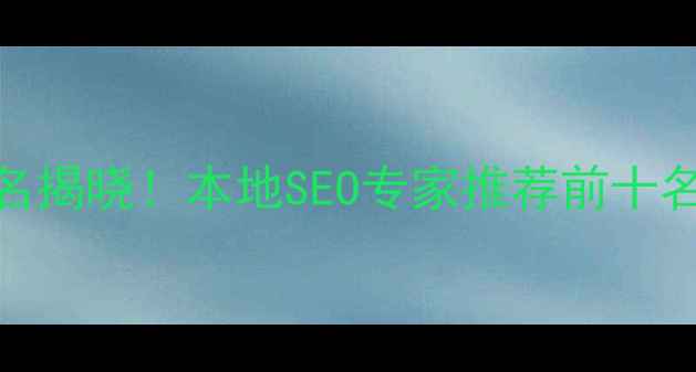 图片 郑州网站优化排名揭晓！本地SEO专家推荐前十名及效果保障指南