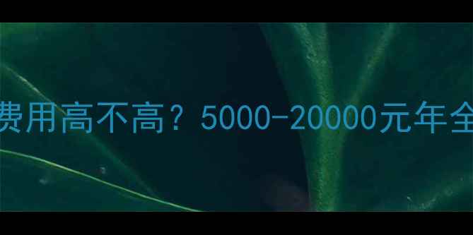 图片 郑州网站优化费用高不高？5000-20000元年全，附避坑指南