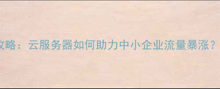 图片 郴州本地SEO优化全攻略：云服务器如何助力中小企业流量暴涨？实战经验+避坑指南2
