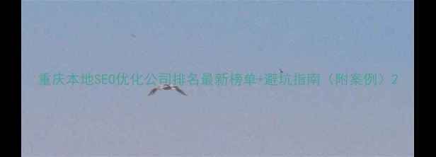 图片 重庆本地SEO优化公司排名最新榜单+避坑指南（附案例）2