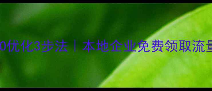 图片 金山区SEO优化3步法｜本地企业免费领取流量方案🔥2