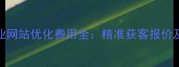图片 金山区企业网站优化费用全：精准获客报价及避坑指南
