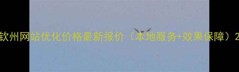 图片 钦州网站优化价格最新报价（本地服务+效果保障）2