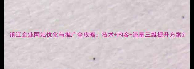 图片 镇江企业网站优化与推广全攻略：技术+内容+流量三维提升方案2