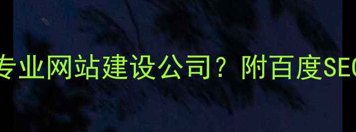 图片 镇江本地企业如何选择专业网站建设公司？附百度SEO优化全攻略（含案例）