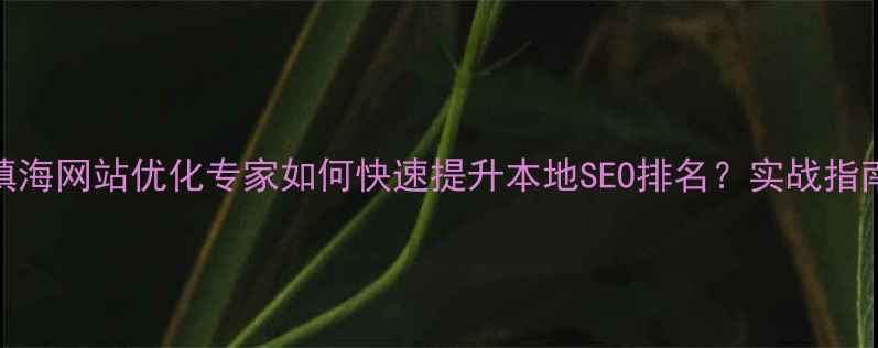 图片 镇海网站优化专家如何快速提升本地SEO排名？实战指南