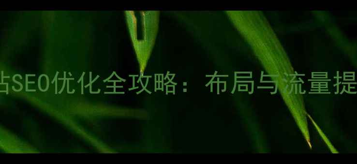 图片 长安地区网站SEO优化全攻略：布局与流量提升实战指南2