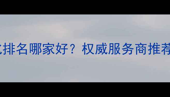 图片 长沙网站优化排名哪家好？权威服务商推荐及避坑指南1