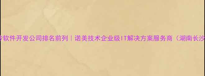 图片 长沙软件开发公司排名前列｜诺美技术企业级IT解决方案服务商（湖南长沙）2