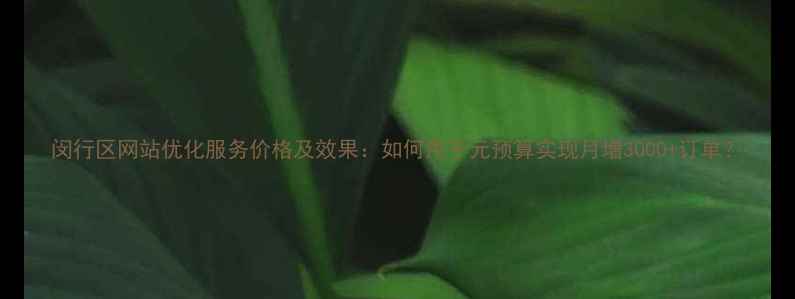 图片 闵行区网站优化服务价格及效果：如何用千元预算实现月增3000+订单？