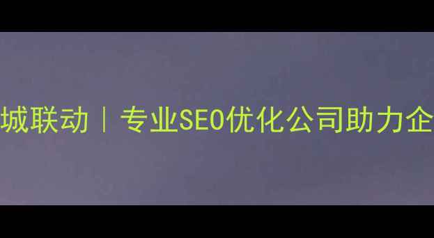 图片 阜阳上海双城联动｜专业SEO优化公司助力企业精准获客