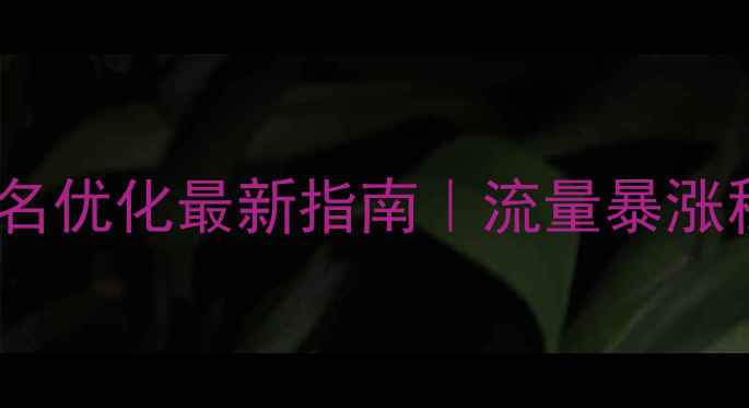 图片 陆丰企业网站排名优化最新指南｜流量暴涨秘籍+实操案例💥