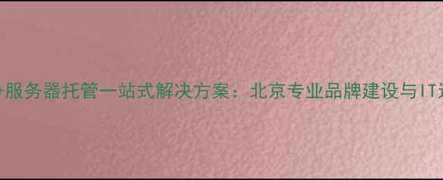 图片 集团标志设计+服务器托管一站式解决方案：北京专业品牌建设与IT运维服务指南2