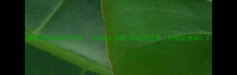 图片 集美网站优化价格全｜3大核心步骤+本地报价表（附避坑指南）2