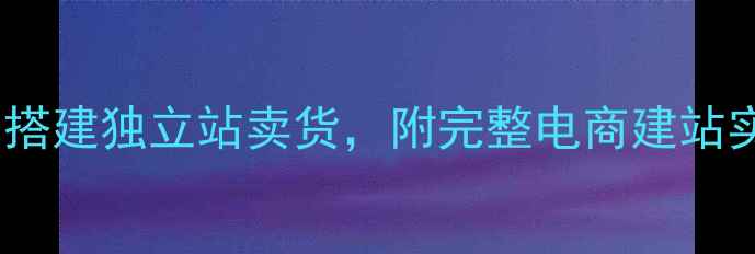 图片 零基础手把手教你从0到1搭建独立站卖货，附完整电商建站实操步骤（附变现路径）1