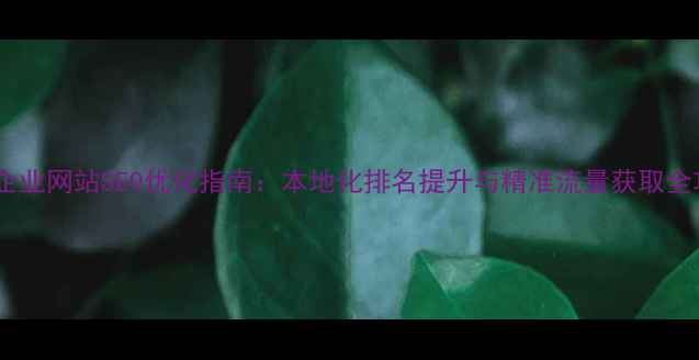 图片 青岛企业网站SEO优化指南：本地化排名提升与精准流量获取全攻略1