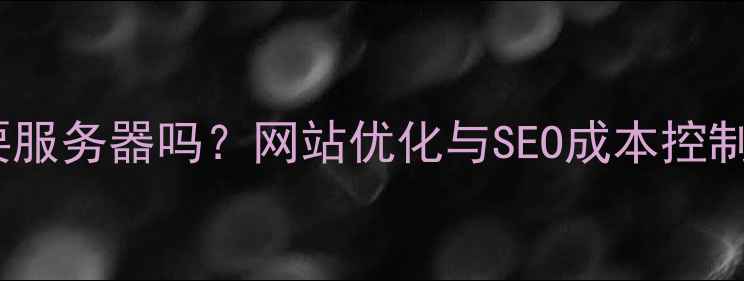 图片 静态网站需要服务器吗？网站优化与SEO成本控制的终极指南1