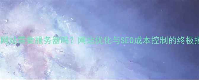 图片 静态网站需要服务器吗？网站优化与SEO成本控制的终极指南2