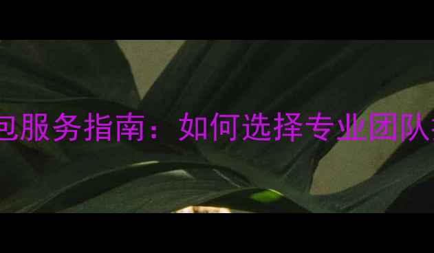 图片 鞍山网站优化外包服务指南：如何选择专业团队提升本地SEO排名