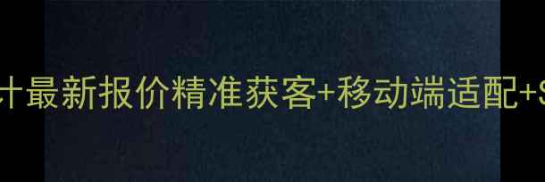 图片 驻马店网站优化设计最新报价精准获客+移动端适配+SEO排名提升全攻略