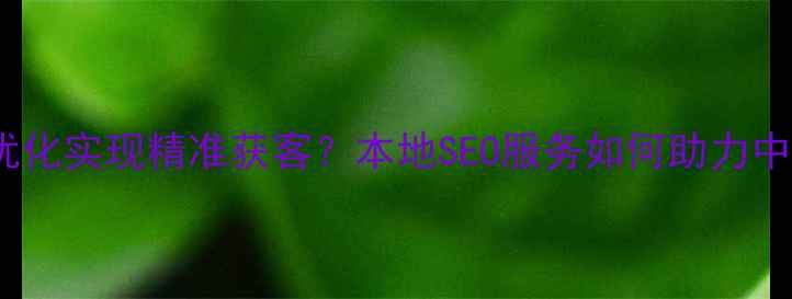 图片 鸡西企业如何通过网站优化实现精准获客？本地SEO服务如何助力中小企业突破流量瓶颈？1