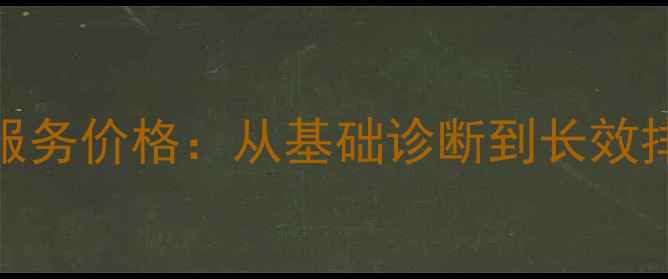 图片 黄山企业网站SEO优化服务价格：从基础诊断到长效排名的全流程成本指南2