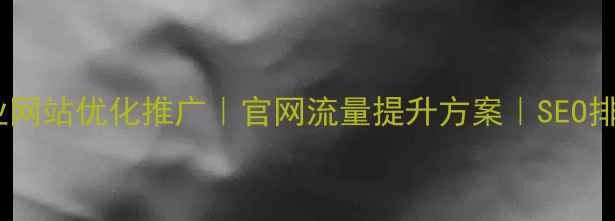 图片 黄陂企业网站优化推广｜官网流量提升方案｜SEO排名专家1