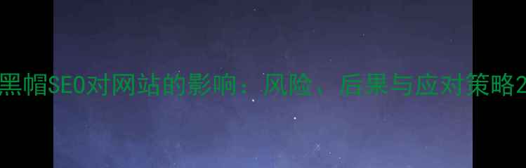 图片 黑帽SEO对网站的影响：风险、后果与应对策略2
