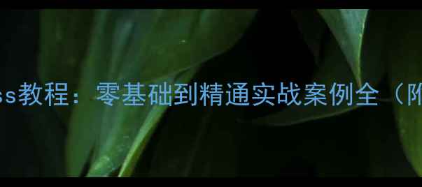 图片 龙书浩最新div+css教程：零基础到精通实战案例全（附免费学习资源）1