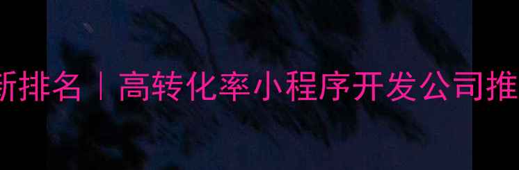 图片 龙华小程序开发公司最新排名｜高转化率小程序开发公司推荐（附免费咨询入口）1
