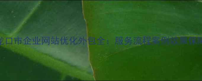 图片 龙口市企业网站优化外包全：服务流程案例效果保障