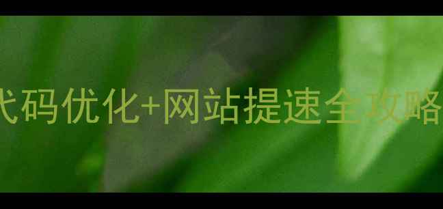 图片 🌟3步搞定百度SEO代码优化+网站提速全攻略（附实战案例）🌟2