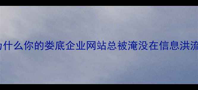 图片 🌟为什么你的娄底企业网站总被淹没在信息洪流？2