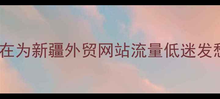 图片 🌟你还在为新疆外贸网站流量低迷发愁吗？1