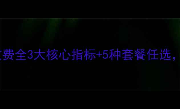 图片 🌟保定网站优化收费全3大核心指标+5种套餐任选，企业主必收藏！1